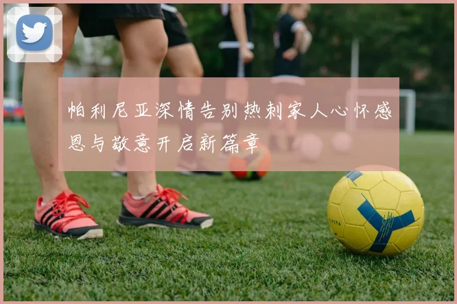 帕利尼亚深情告别热刺家人心怀感恩与敬意开启新篇章